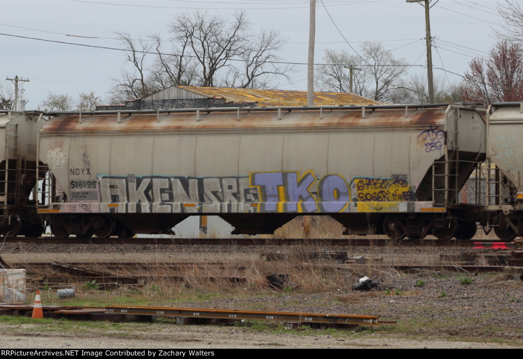 NDYX 516195